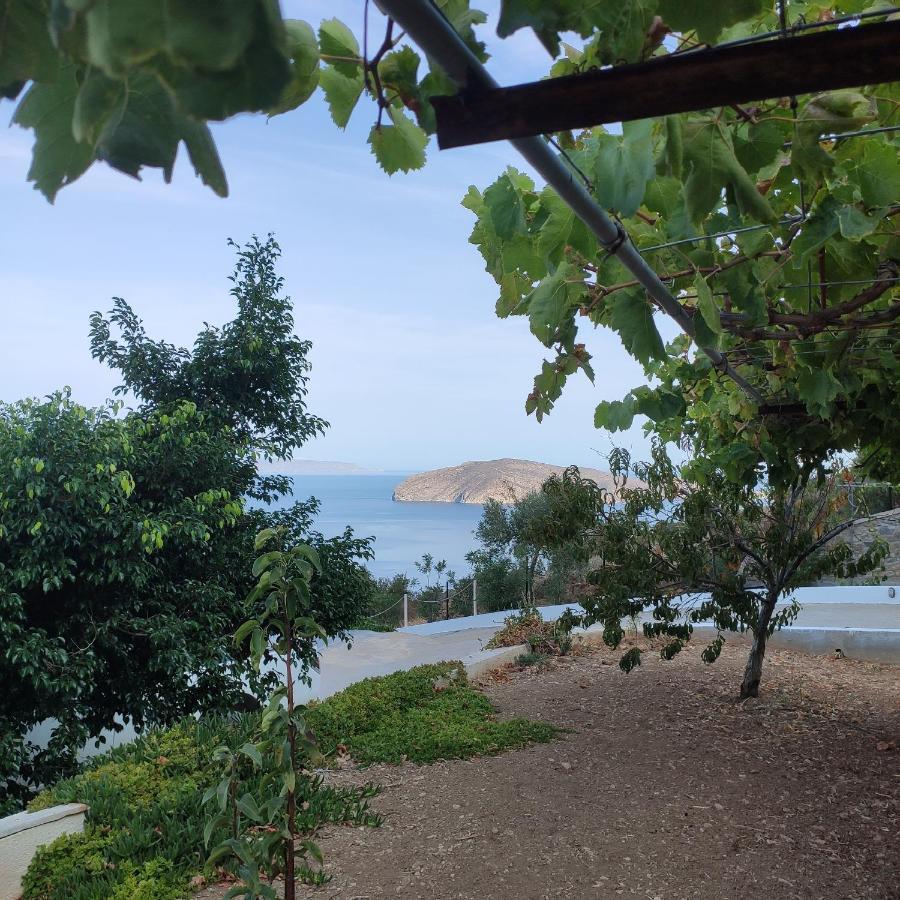 Villa Kefali Kavoúsion 外观 照片